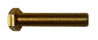 Replacement Edge Tamer Bolts
